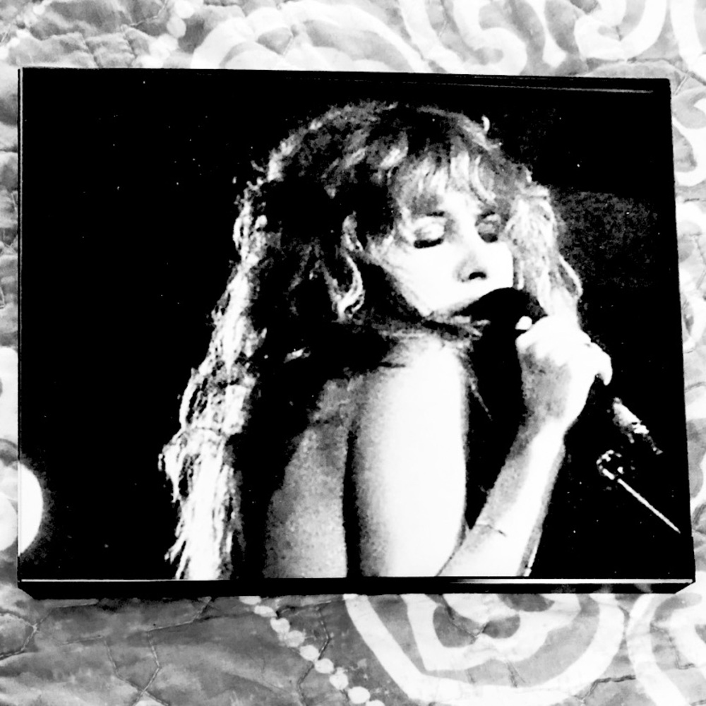 STEVIE NICKS 8X10 Framed Photo FLEETWOOD MAC